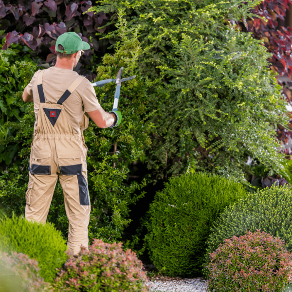 2jobbing-manutenzione-de-verde