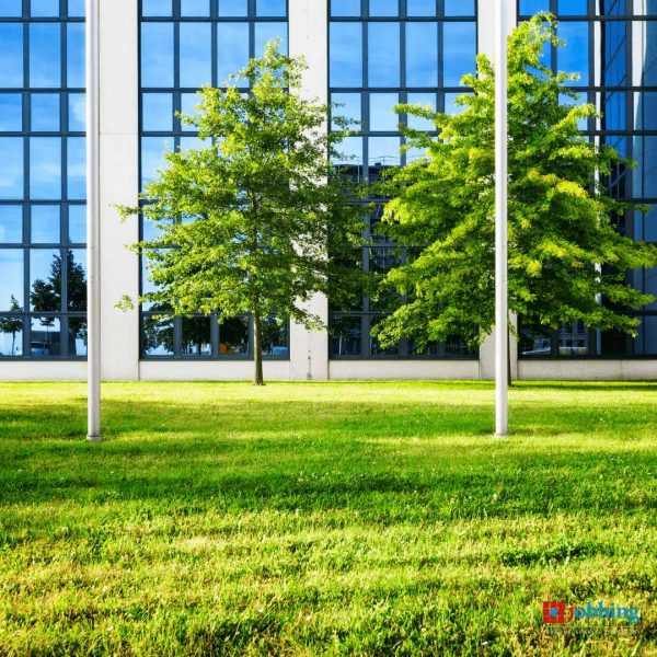 jobbing-certificazioni-e-qualita-ambiente jobbing-certificazioni-e-qualita-ambiente